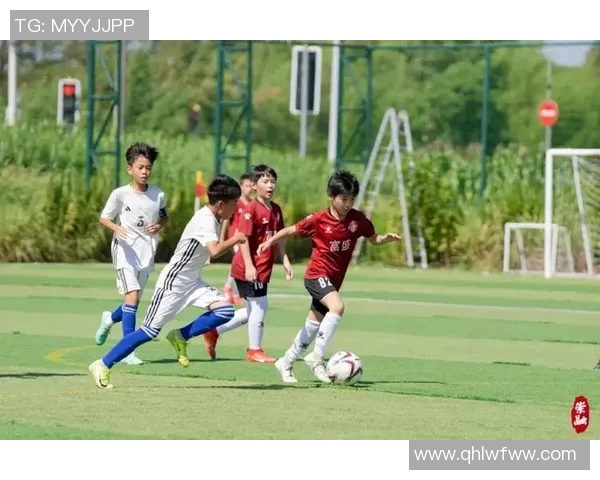 成都足球中心引领西南足球发展新篇章助力青少年成长与职业联赛繁荣